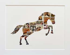 Animals: Horse, 11x14 inches