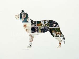 Border Collie, 6x8 inches