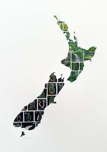 Prints: New Zealand Map, A3 Print