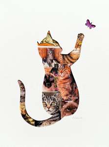 Cats Dogs: Cat - tortoiseshell with butterfly, 6x8 inches