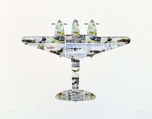 Mosquito plane, 11x14 inches