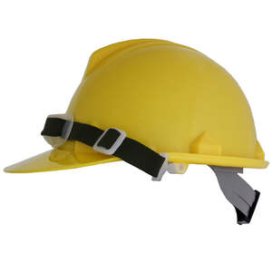 Hard Hats: Blue Eagle Hard Hat