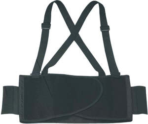 Delta Plus Back Support belt