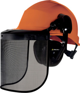 Hard Hats: DELTAPLUS Forestier3 Helmet combo
