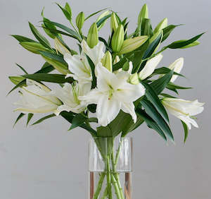 White Lillies Wonder