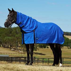 Rugs: Lined Canvas Combo - Blue/Black