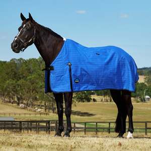 Rugs: Lined Canvas Standard Neck - Blue/Black