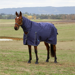 Rugs: ComFiTec Prelim Turnout Combo Navy Embossed Plaid - 220G
