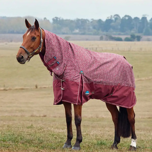 Rugs: ComFiTec Essential Turnout Combo Bit Print - 220G