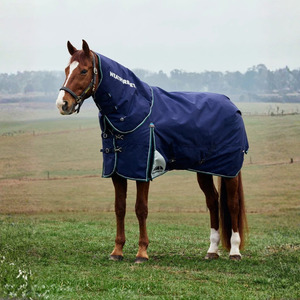 Rugs: ComFiTec Plus Dynamic Turnout Detach-A-Neck Navy/Forest Green - 220G