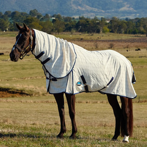 Horse: Cotton Summer Sheet Lite Combo - Beige/Navy/Forest Green
