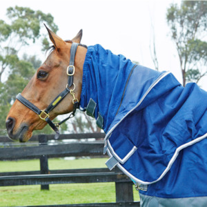 Feed: Cool Vitality 20kg