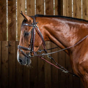 Lunging Equipment: Working Nylon Gogue Ropes - Brown