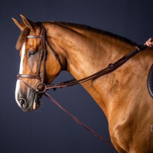 Lunging Equipment: New English Leather/Nylon Draw Reins 5/8" - Brown Full