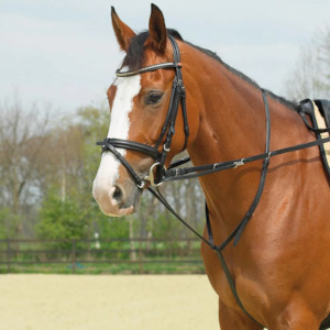 Lunging Equipment: Market Harborough Full Black