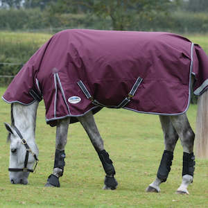 Winter Rugs Medium: ComFiTec Plus Dynamic ll Combo Med Wide - 220g