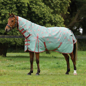 Winter Rugs Lite: Boho Rainbow ComFiTec Plus Dynamic ll Combo Med/Lite - 100g *Clearance*