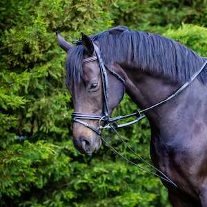 Lunging Equipment: Chambon