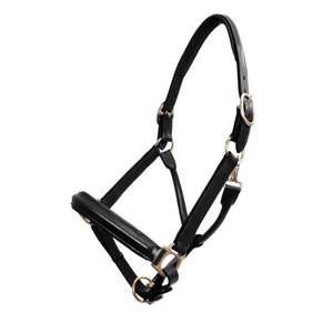 Headcollars Leads: Leather Show Halter - Black