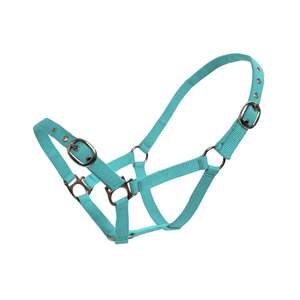 Headcollars Leads: Nylon Halter - Miniature