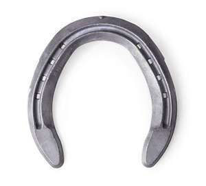 Farrier Equipment: Concorde Steel Shoes - Hind
