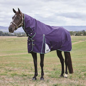 Rugs: ComFiTec Plus Dynamic Turnout Combo Navy/Forest Green - 100G