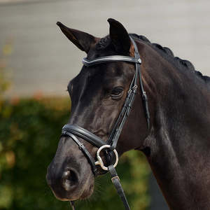 Bridles: Crystal Flash Bridle - Black