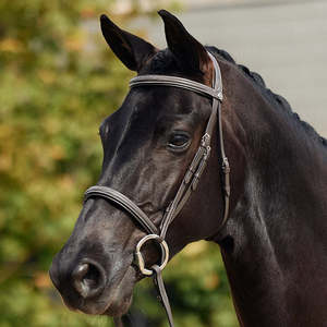 Padded Fancy Stitch Hunt Bridle - Brown