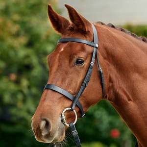 Flat Cavesson Bridle - Black