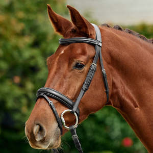 Padded Flash Bridle - Black