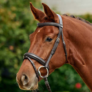 Padded Flash Bridle - Brown
