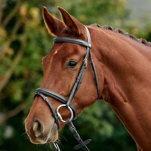 Flash Bridle - Black Mini