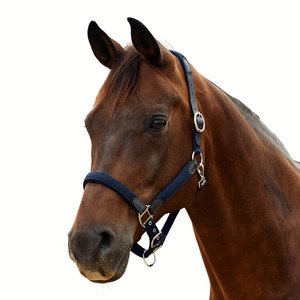 Braided Leather Headcollar - Navy