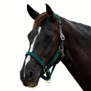 Braided Leather Headcollar - Hunter Green