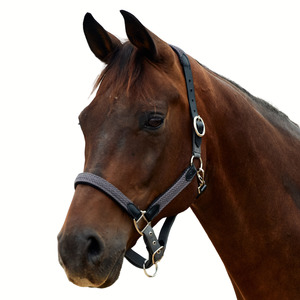 Headcollars Leads: Braided Leather Headcollar - Charcoal