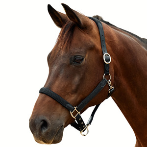 Braided Leather Headcollar - Black