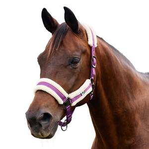Headcollars Leads: Soft Fit Headcollar - Dark Purple