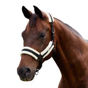 Soft Fit Headcollar - Black
