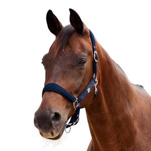 Neo Comfort Headcollar - Navy
