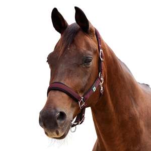 Neo Comfort Headcollar - Burgundy