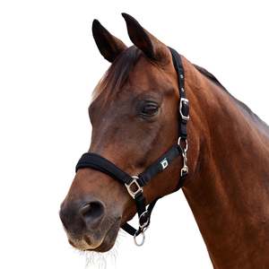 Neo Comfort Headcollar - Black