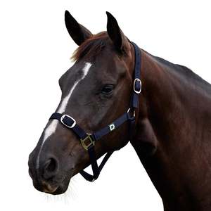 Everyday Headcollar - Navy