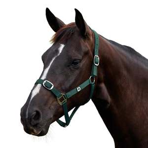Everyday Headcollar - Green