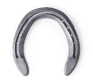 Farrier Equipment: Concorde Steel Shoes - Hind