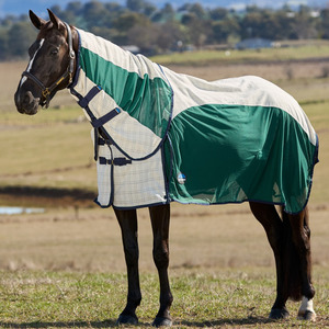 Rugs: Cotton Airstream Combo - Beige/Forest Green/Navy