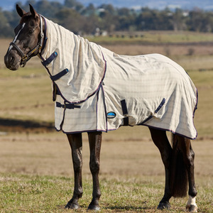 Rugs: Cotton Summer Sheet Combo - Beige/Navy/Burgundy