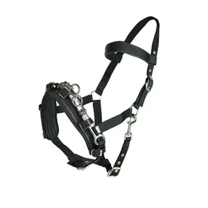 Padded Lunge Cavesson - Black Full