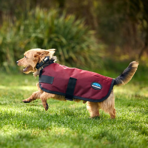 Classic Waterproof Dog Coat - Burgundy