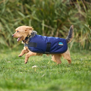 Weatherbeeta: Classic Waterproof Dog Coat - Navy