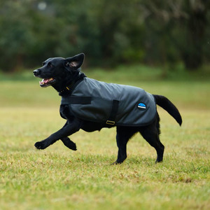 Weatherbeeta: Classic Waterproof Dog Coat - Charcoal